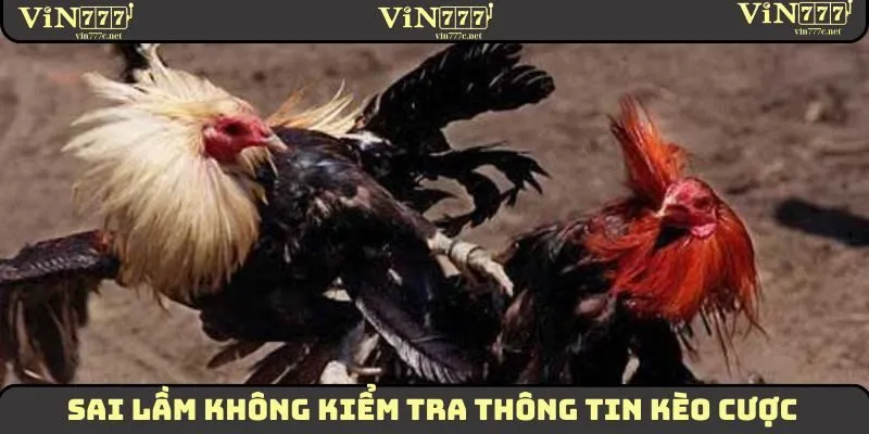 Sai lầm không kiểm tra thông tin kèo cược